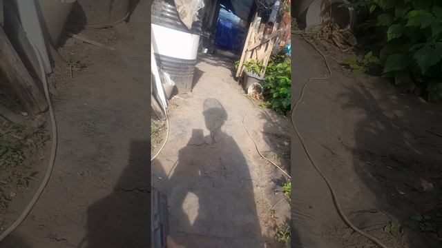 у меня сгорел пускатель ПМЕ 211