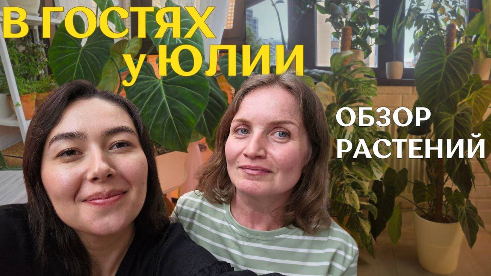 уютная КВАРТИРА с РАСТЕНИЯМИ | БАЛКОН, витрина, ТЕНТ и ИНТЕРЬЕР с растениями | в гостях У ЮЛИИ 🪴 смотреть онлайн