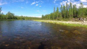 Рыбалка сплавом по горной реке. Ловля хариуса на спиннинг. 18.06.2022