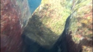 Underwater shooting diving with insta 360 ace pro on the Black Sea / Подводная съемк?