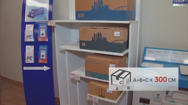 Какие живые грузы Почты России разрешены: саженцы, муравьи, пиявки, пчёлы? смотреть онлайн