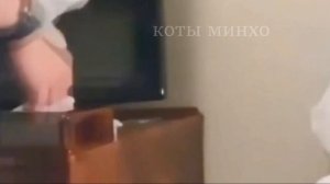 лучшие смешные моменты стрей кидс