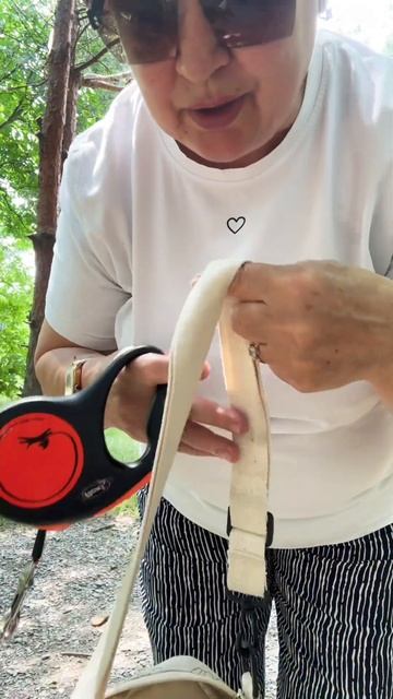 #мамаотличника #сумкасобачника смотреть онлайн