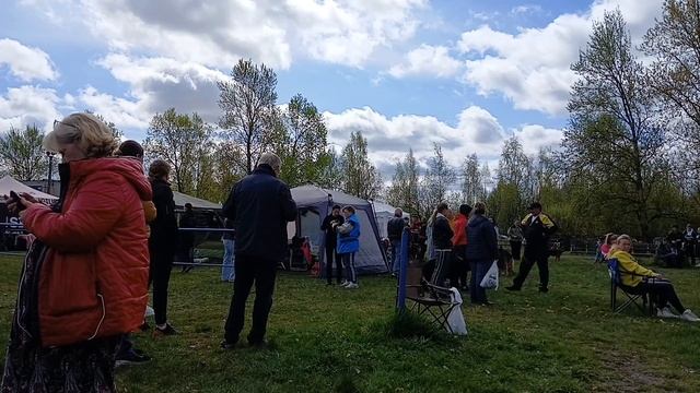 ПРОВЕРКА ПОВЕДЕНИЯ / КЧК САНКТ-ПЕТЕРБУРГ 17 мая`25 Г.Гринько Моно немецких овчарок