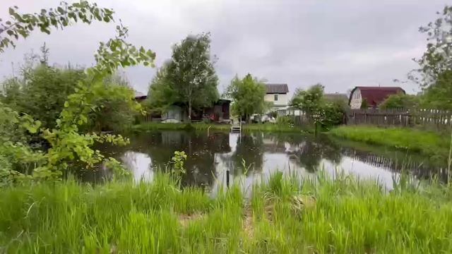 Кусино т Солнечный улица 29 смотреть онлайн