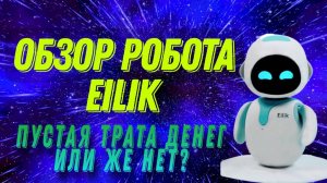Обзор робота Eilik