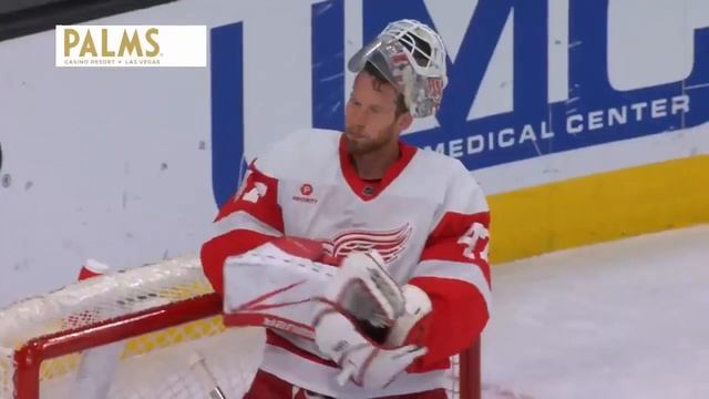 Гол Павла Дорофеева в игре с Детройт Рэд Уингз смотреть онлайн