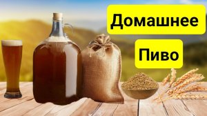 Как приготовить Пиво Новичку, без Оборудования. Очень простой и быстрый рецепт.