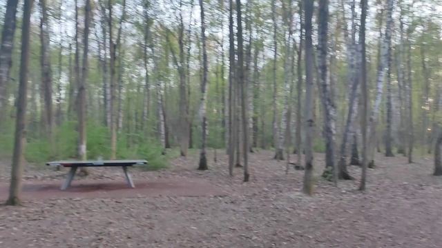 Пикниковые зоны барбекю шашлык в парке Сокольники май