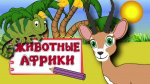 ЖИВОТНЫЕ АФРИКИ/ ОКРУЖАЮЩИЙ МИР/ ПОДГОТОВКА К ШКОЛЕ