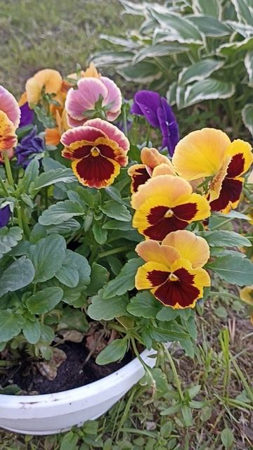 Тёплый вечер в Дмитрове со Сретенской Церковью смотреть онлайн