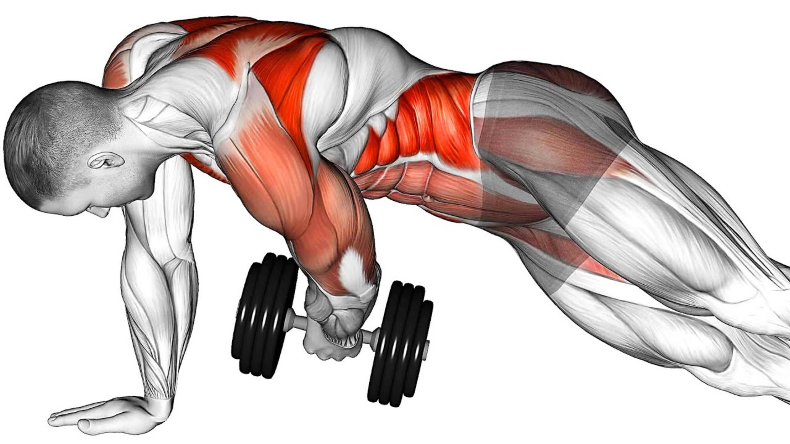 Укрепление мышц Живота с помощью ГАНТЕЛЕЙ смотреть онлайн