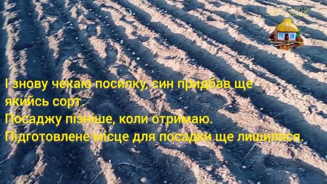 Посадка цибулі і часнику //Мій досвід //Підготовка площ