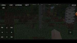 Как установить читы на pojavlauncher