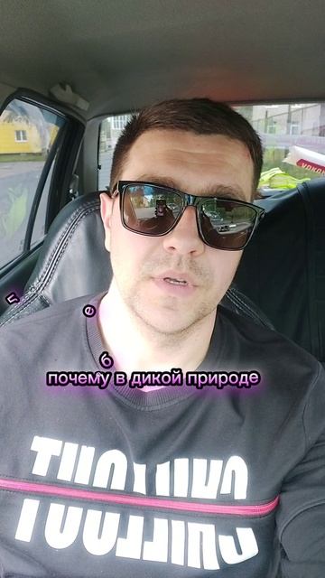 Задачка на логику #21. Напрягаем извилины.