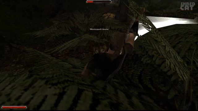 Прохождение: Gothic 2 - НАЧАЛО | ShredCat смотреть онлайн