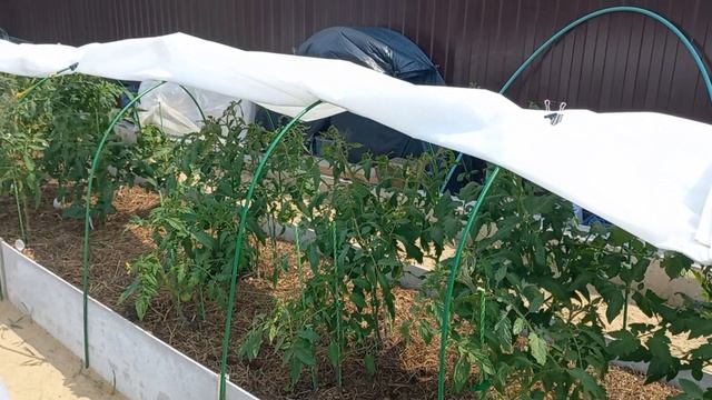 Жизнь в Деревне, Он это сделал Ура , Небольшой показательный Обход, что у нас нового смотреть онлайн