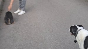 1000008407.mp4.  💃🔥ПО ПРОСЬБАМ 🔥💃МОИ КРАСОТКИ ♥️🙏🚀🖋️🚀🖋️🚀