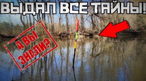 СЕКРЕТНЫЙ СПОСОБ НАЛОВИТЬ МНОГО на течении! Тайны рыбалки 2025
