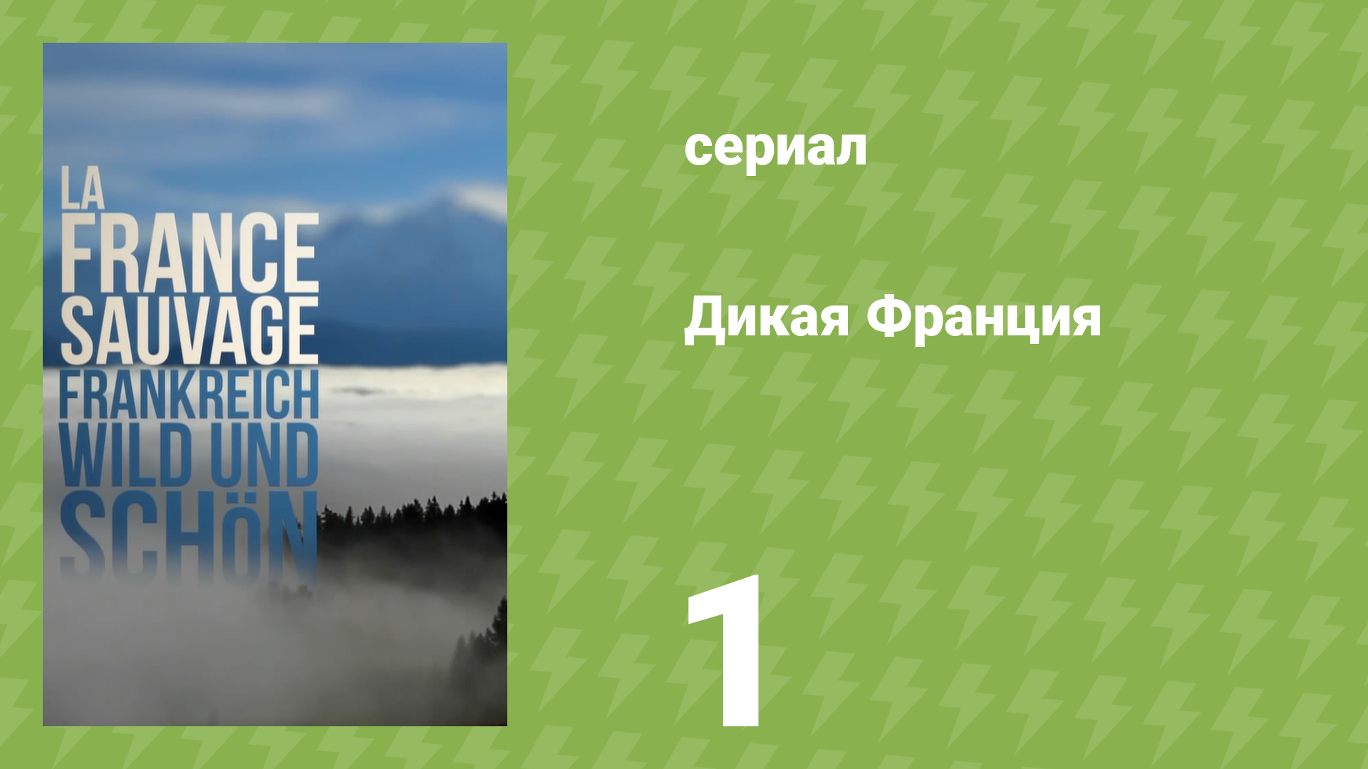 Дикая франция 1 серия «Живая природа в городе огней» (документальный сериал, 2012) смотреть онлайн