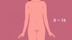 Рассмотрим подробнее: половое созревание