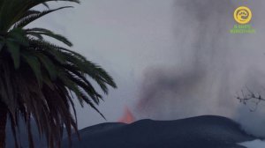 Птицы. Покорители стихий. Анонс. Канал В Мире Животных