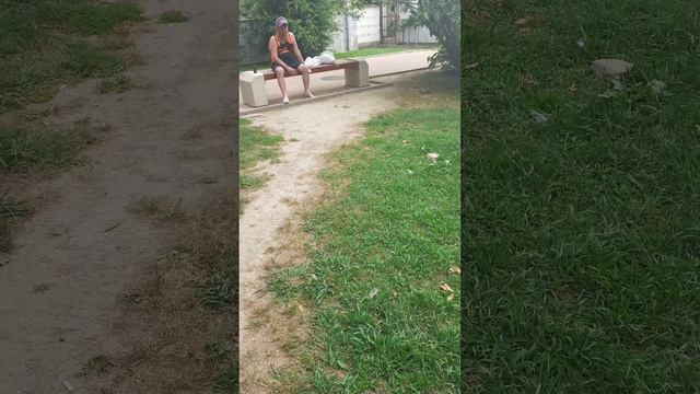 ВСТРЕТИЛИ ДРУЖКА В ПАРКЕ У КИНОТЕАТРА ВОСХОД смотреть онлайн