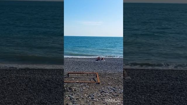 СБОРНАЯ СОЛЯНКА С 17.05 ПО 31.05.25 ЛАЗАРЕВСКОЕ