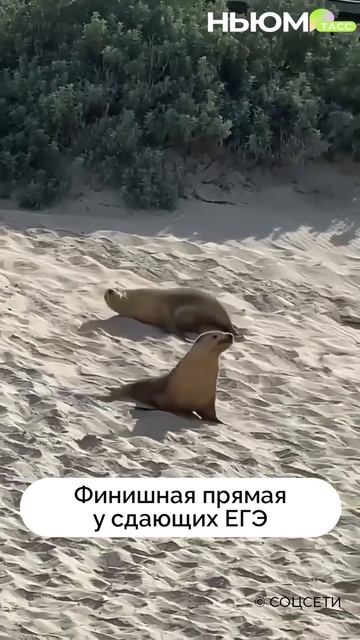  смотреть онлайн