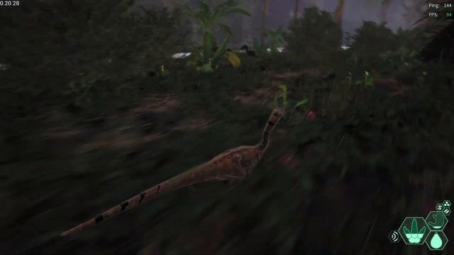 Аллозавр уже в игре! Новое обновление в The Isle | Evrima