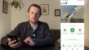Приложения для определения птиц. Merlin Bird ID, eBird, iNaturalist. О