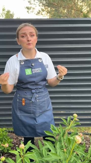 ЧТОБЫ ПИОНЫ ЦВЕЛИ ПЫШНО, СДЕЛАЙ ЭТО смотреть онлайн