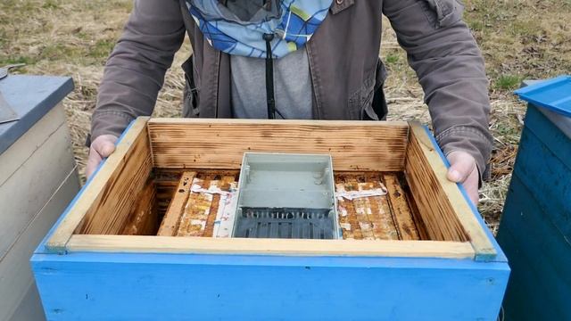 Прийшла Весна - вода у вулик! Важлива процедура для роз