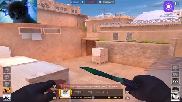 Стрим по Standoff 2 прайсы в описание смотреть онлайн