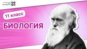 11 класс. Биология. Введение в тему: Круговорот веществ и энергии в экосистемах и процесс сукцессии