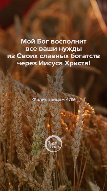 Филиппийцам 4:19 смотреть онлайн