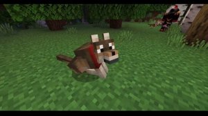 Почему тебе надо завести собаку в майнкрафт