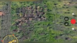 ‼️🇷🇺Героическая атака «Гепарда»Наш храбрый воин с позывным «Крюгер» подвергся атаке FPV-дронов🙏