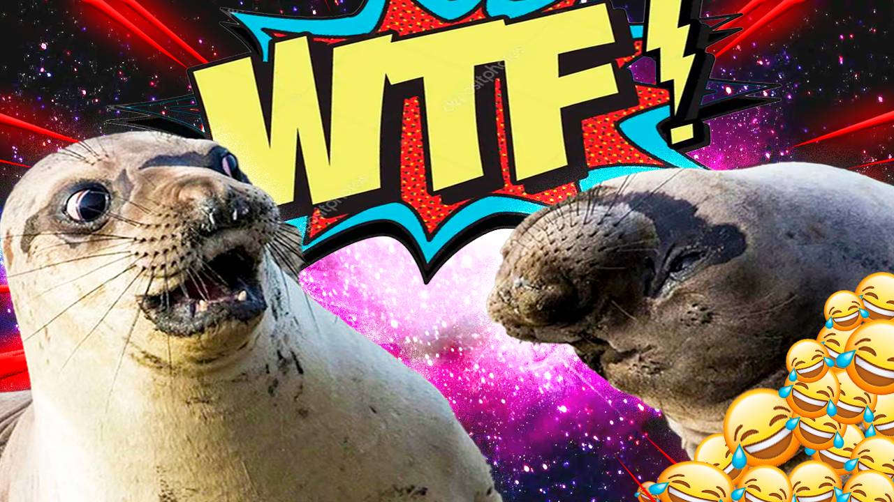 ЛУЧШИЕ ПРИКОЛЫ ИЮНЬ 2025 | ПОПРОБУЙ НЕ ЗАСМЕЯТЬСЯ | ТЕСТ НА ПСИХИКУ | РЖАКА ДО СЛЕЗ смотреть онлайн