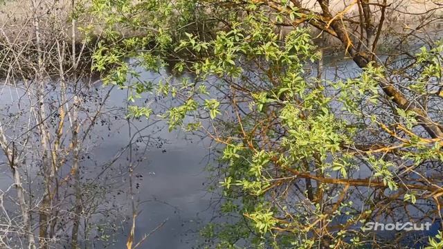 БОСИКОМ ПО РОССИИ МОЕЙ! ЗАМЕЧАТЕЛЬНАЯ ПЕСНЯ.