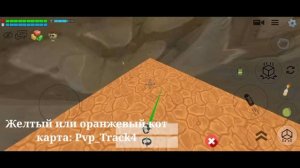 Как найти все скины на котов в Chicken Gun