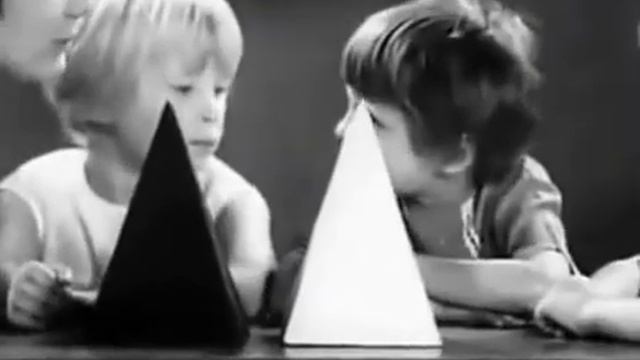 Стадный инстинкт: как большинство меняет нашу правду.