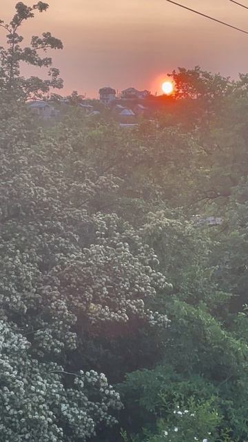 Закат 💖💖💖 смотреть онлайн