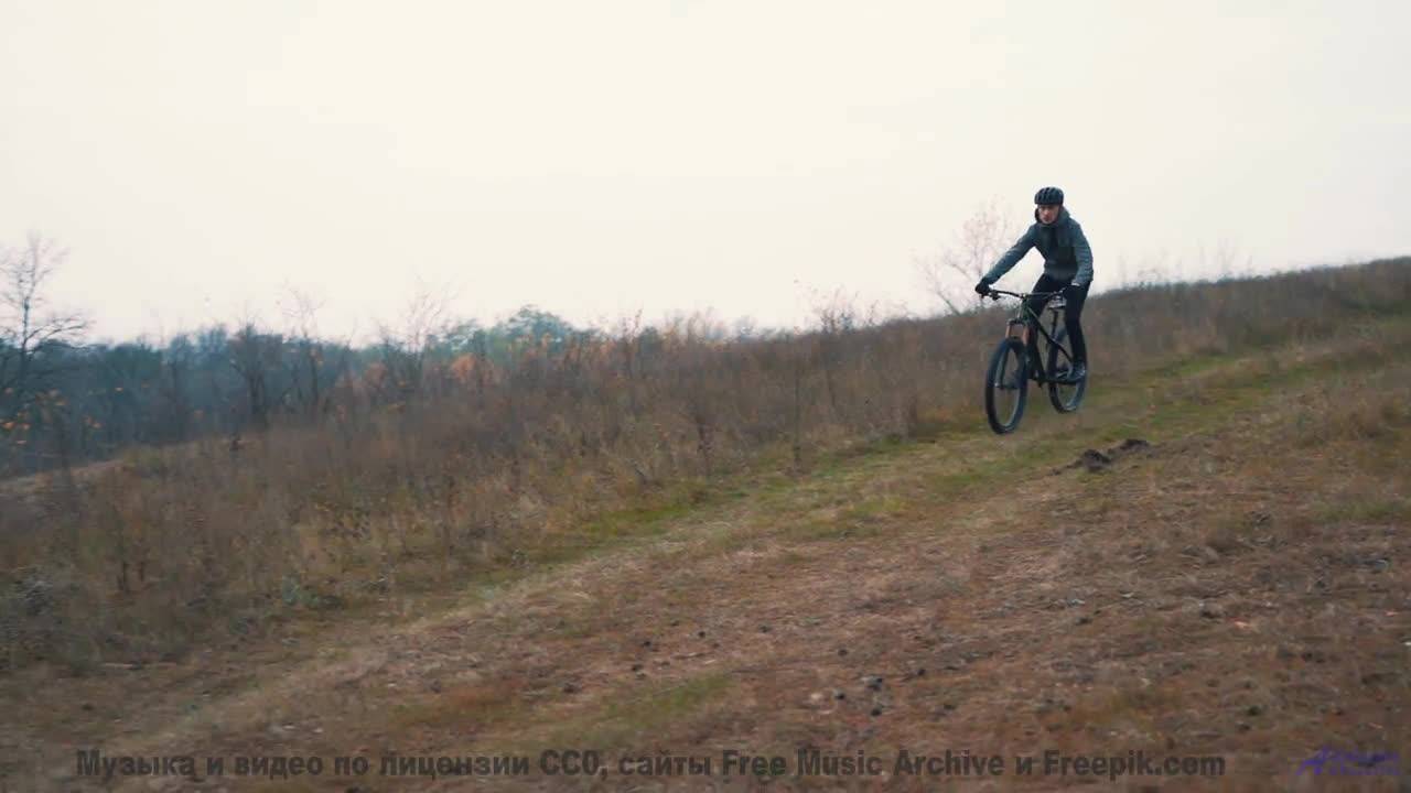 Музыка, которая перевернет ваше представление о красоте! - Grumpy Cat -- Holizna4KidsMusic -- Grumpy