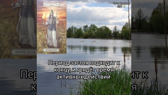 💫Послание для Вас от Духов места Силы 🕊 смотреть онлайн