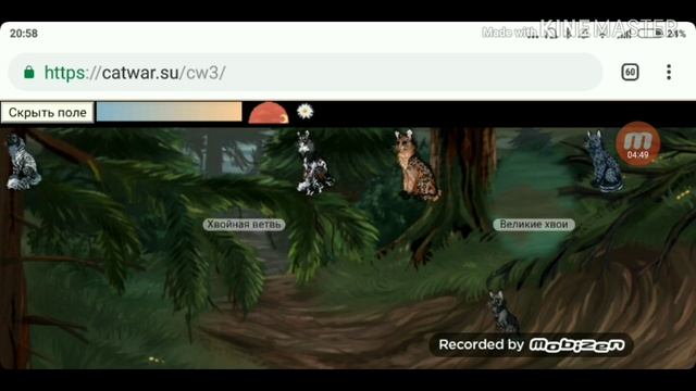 Играю в CatWar. Into the wild. Линд смотреть онлайн