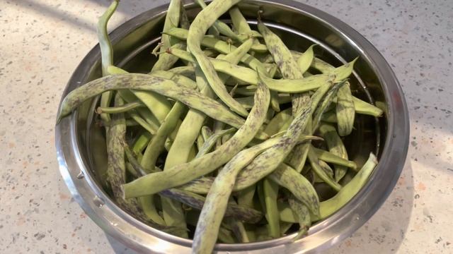 Lobya Turşusu - Lobya Salatı / салат и маринад из фасоли