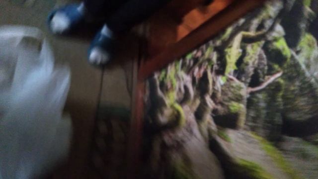 РАСПАКОВКА КУПИЛИ МЯСО смотреть онлайн