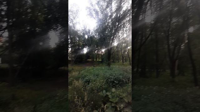 Как же хорошо,когда птички чирикают,поют 👍 смотреть онлайн