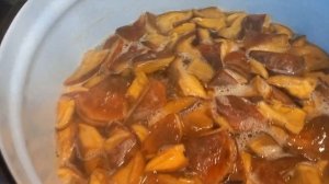 Дубовики и белые грибы. Маринуем